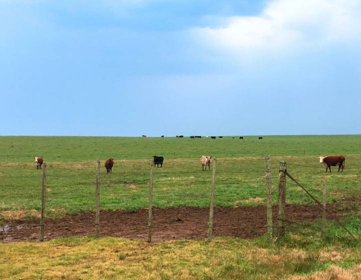 Campo en Durazno