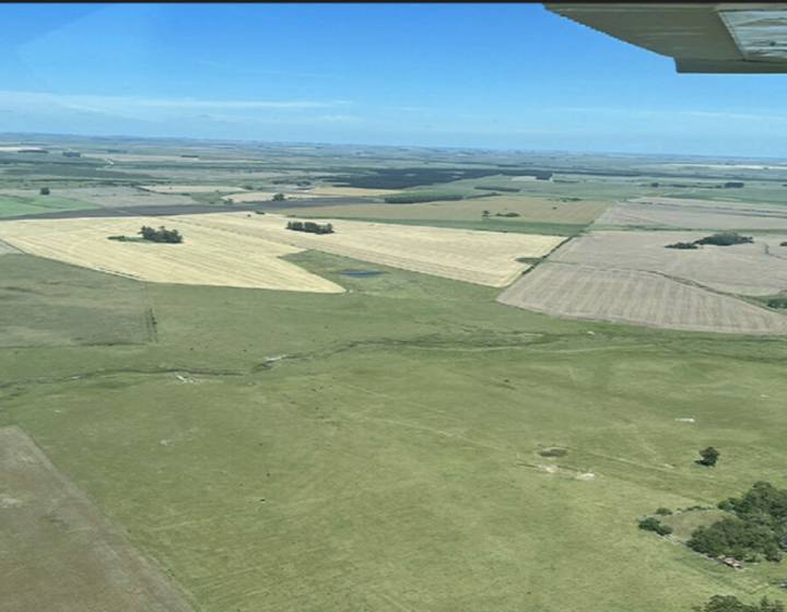 Campo en Durazno