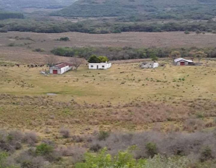 Campo en Tacuarembó
