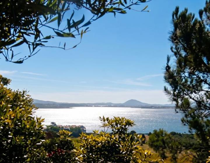 Terreno en las Cumbres