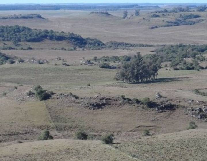 Estancia Ganadera en Tacuarembó