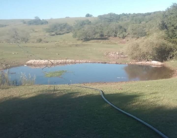 Campo en Tacuarembó