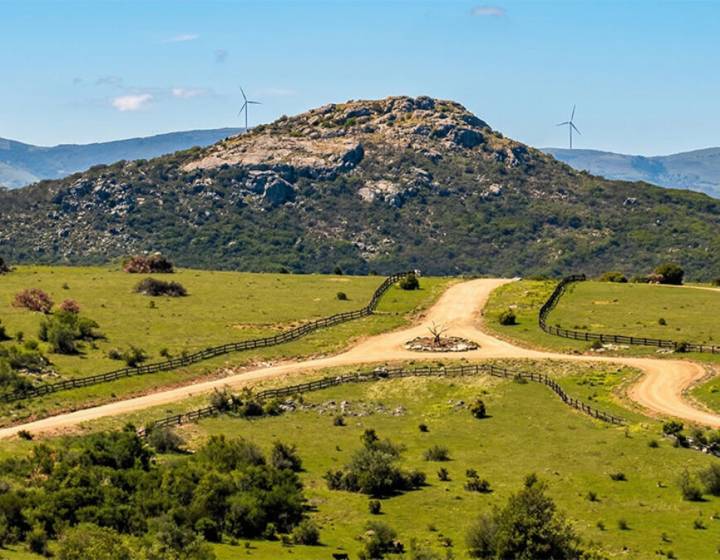Chacra en las Taperas