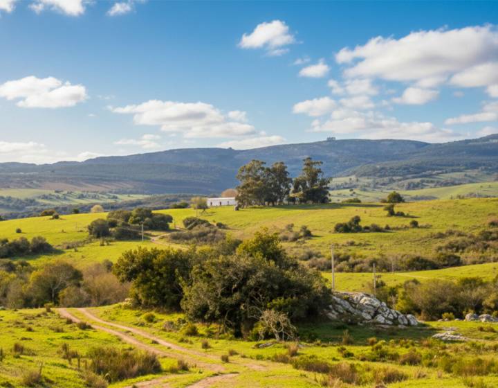 Campo en Maldonado