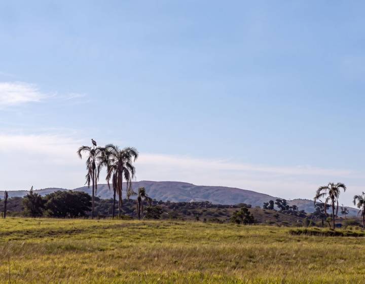 Campo en Maldonado