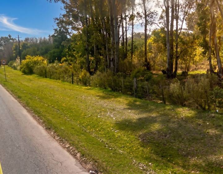 Terreno en Punta del Este