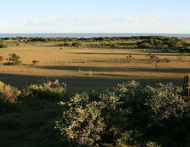 Chacra en Jose Ignacio