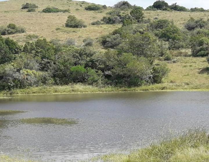 Potrero "Altos de la Coronilla"