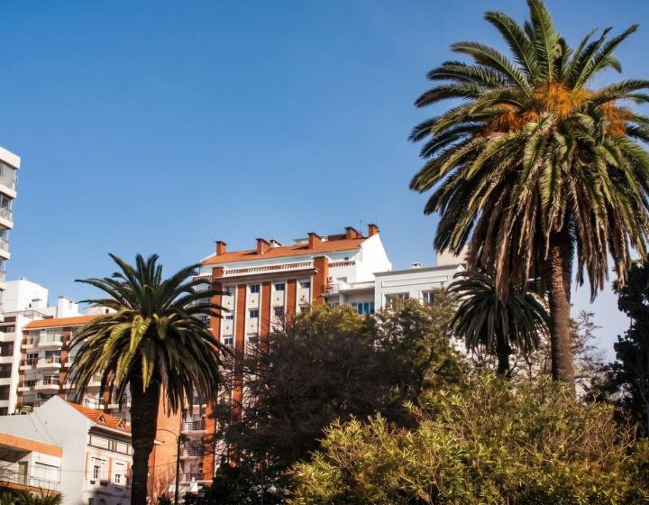 Oficina en Venta en Edificio Ermitage
