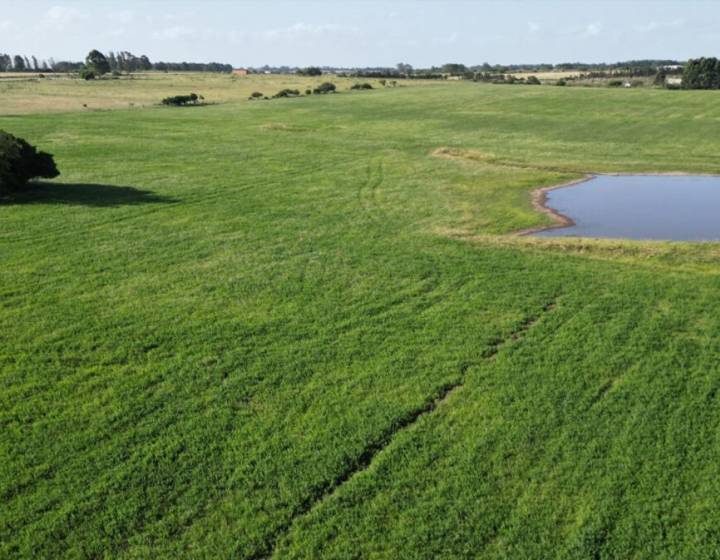 Haras en Canelones