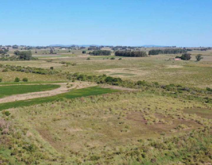 Campo en Canelones
