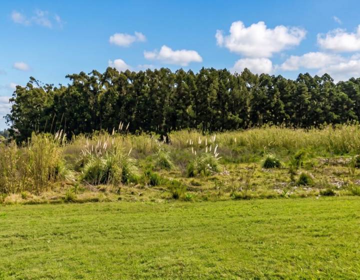 Terreno Próximo a Ruta 101