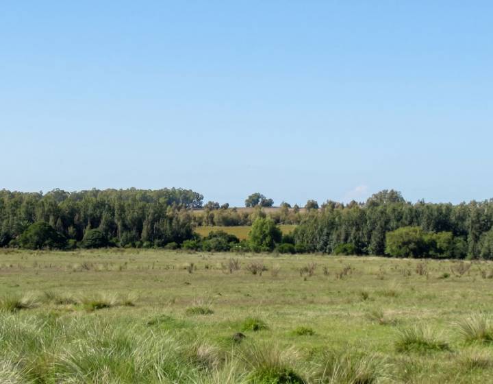 Campo en Canelones