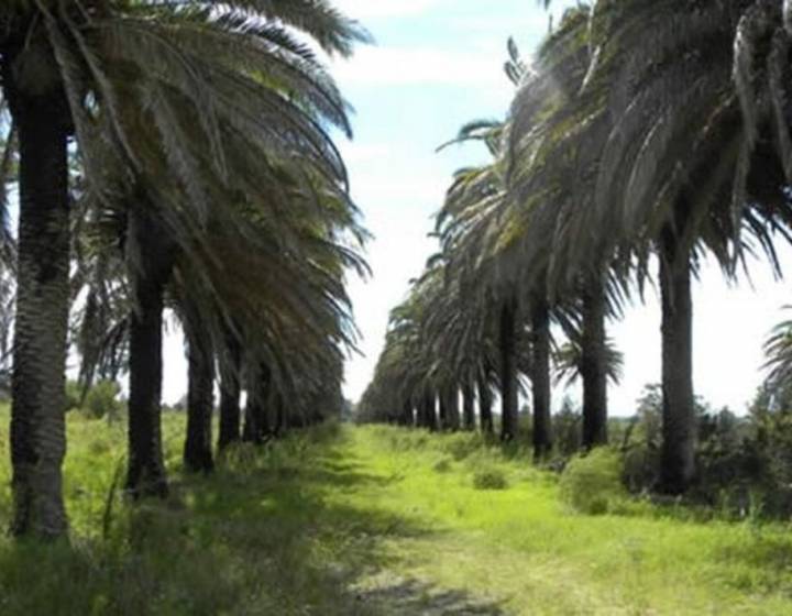 Campo en Joaquín Suárez - Canelones
