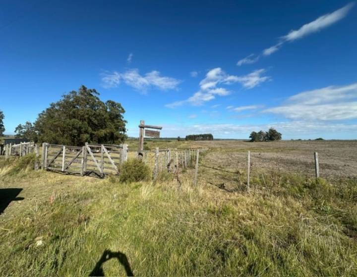 Chacra en Venta en Lavalleja