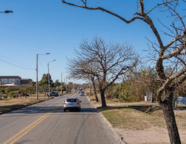 Terreno en Zona Carrasco Polo