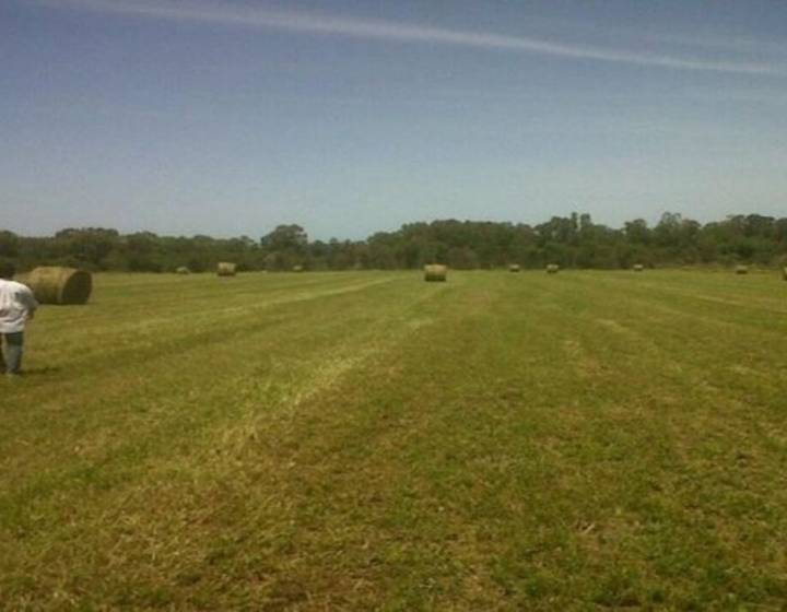 Campo en Punta Yeguas